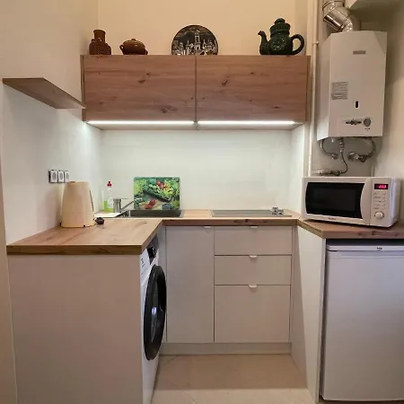 Apartamento With The View Of The Opera House Lviv