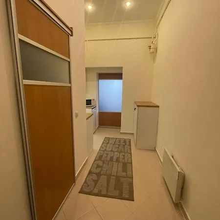 With The View Of The Opera House Lviv