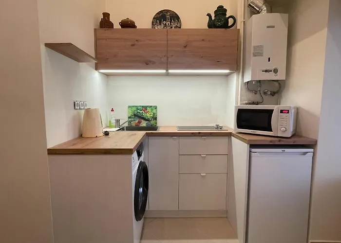 Apartamento With The View Of The Opera House Leópolis