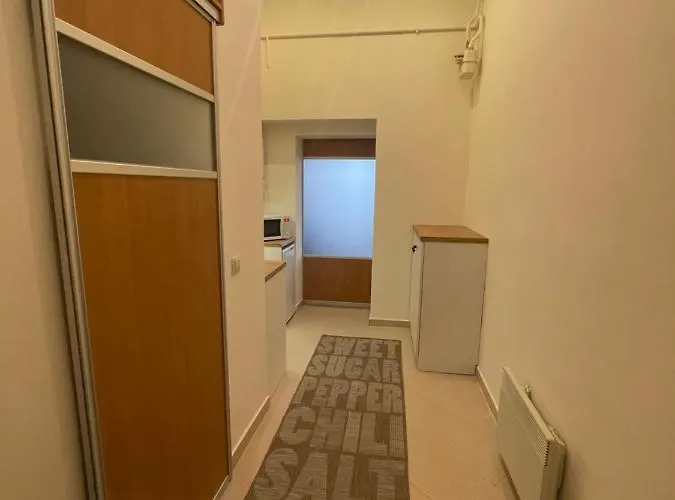 With The View Of The Opera House Львов